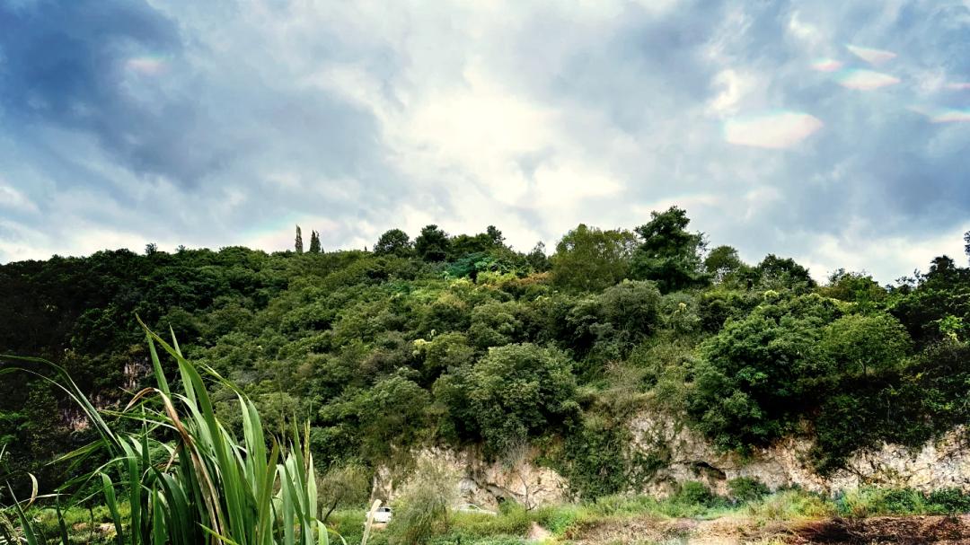 鱼都去哪儿了？为啥禁渔后鱼更难钓？这些暗流是根本原因！