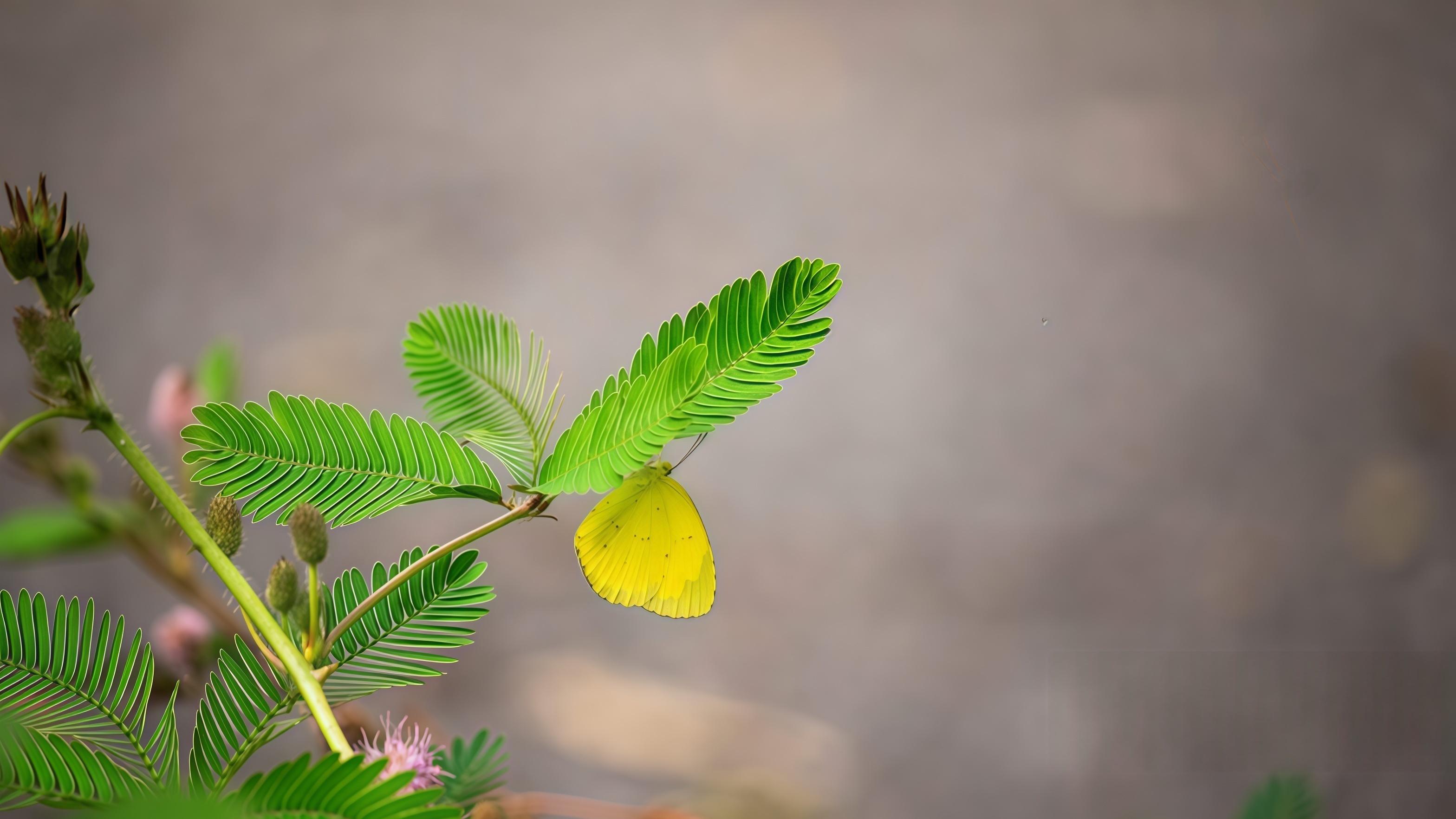 赚10%不如少交3%：华尔街正在改写赚钱