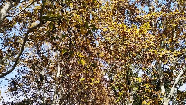 家长想为孩子助力，就要经常会偷懒，保持清醒与稳定才是赋能首选