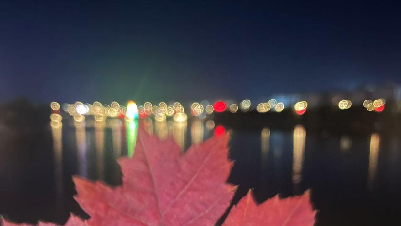 亲爱的，别再被“恋爱脑”拖累了