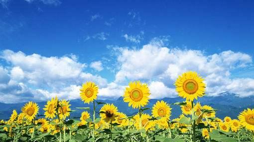 5月5日，青岛二中五十八中再唱对台戏！