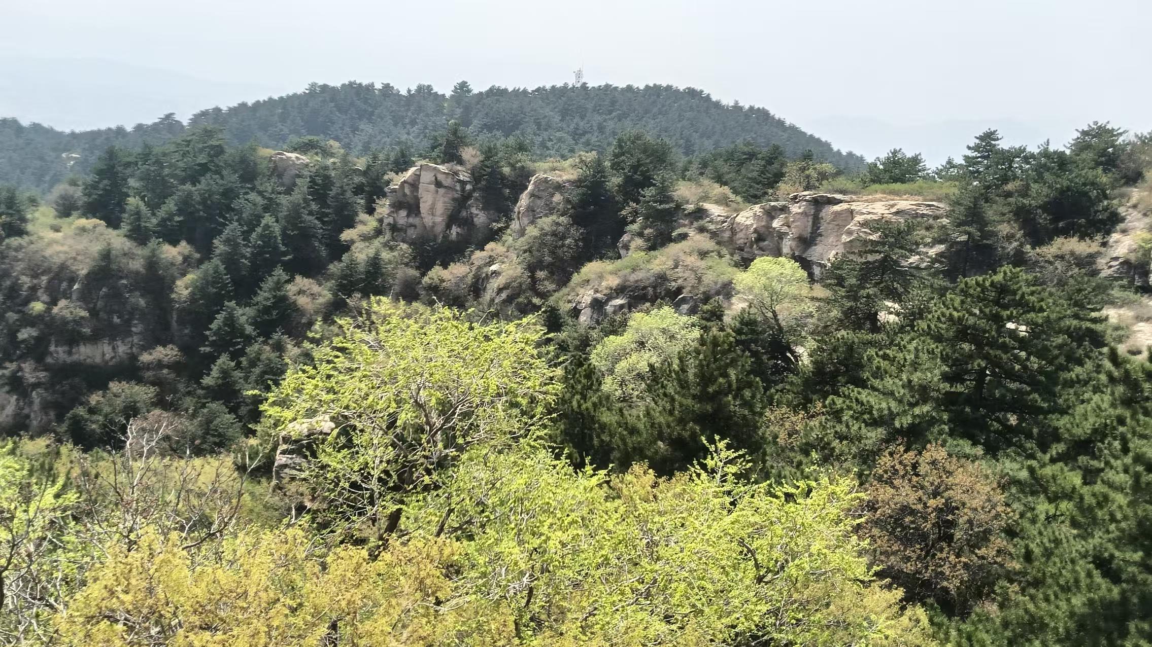 春登陀罗山（菩提偈九）