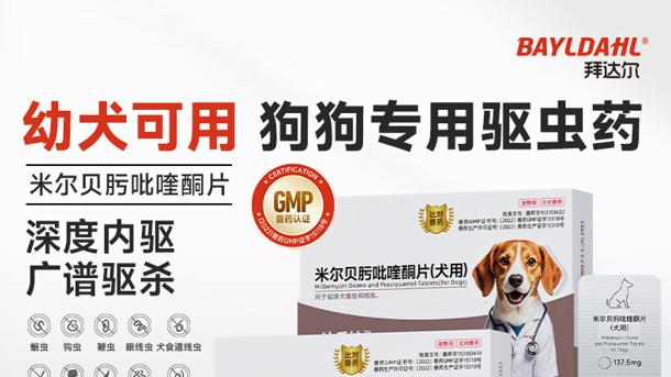 2026年幼犬幼猫内服驱虫药对比评测，新手铲屎官选安全靠谱品牌看这篇