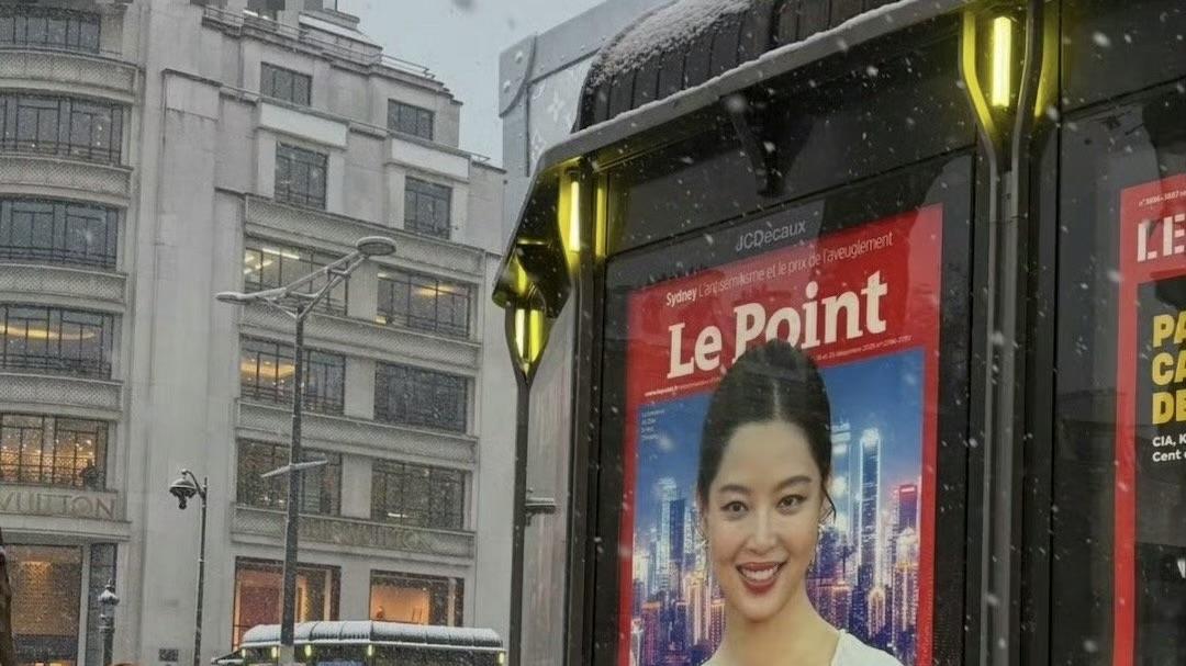 辛芷蕾 竞选总统的感觉