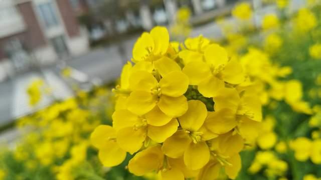 孩子厌学躺平不努力？别急着催，家长要弄清楚孩没冲劲的背后真相