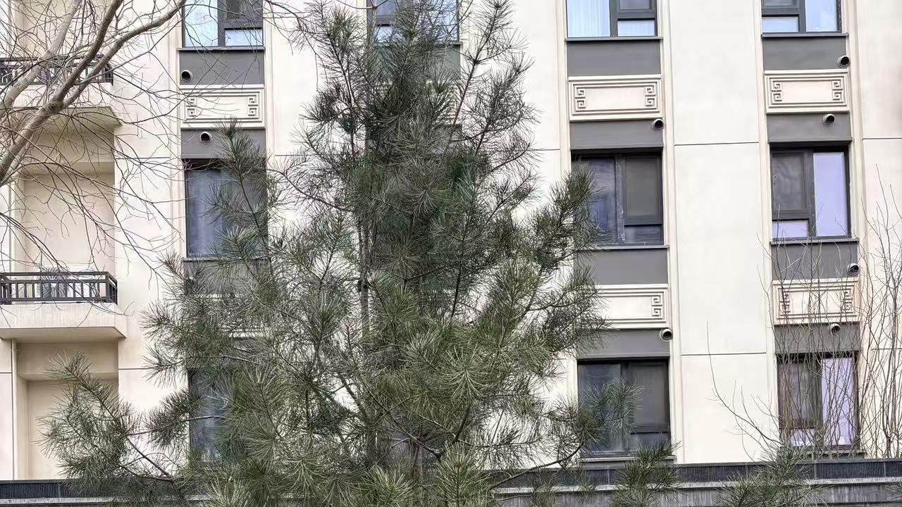 2026年每日通盛及各生肖运势3月31日