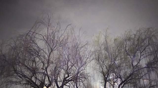 当我不再讲道理和唠叨时，孩子终于不叛逆自觉学习，开始自律积极