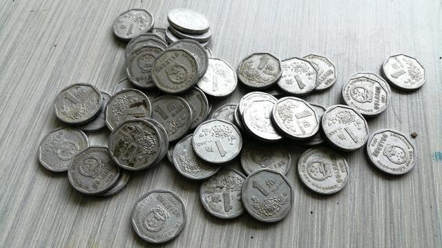 别被忽悠了！常见的“菊花1角”硬币，真的有收藏价值吗？