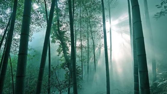 赵富忠诗歌《从亲友的葬礼回来》深度探讨！