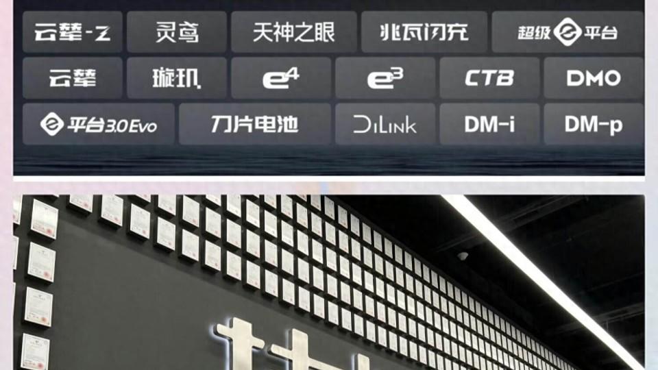 高层论坛点赞比亚迪！二十年深耕研发，靠硬实力站稳全球舞台