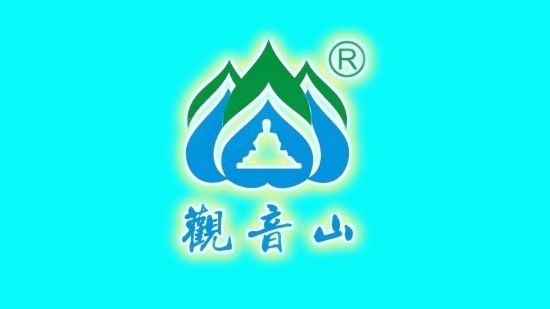 东莞观音山20余年供电困局未解，民生难题亟待省级破局