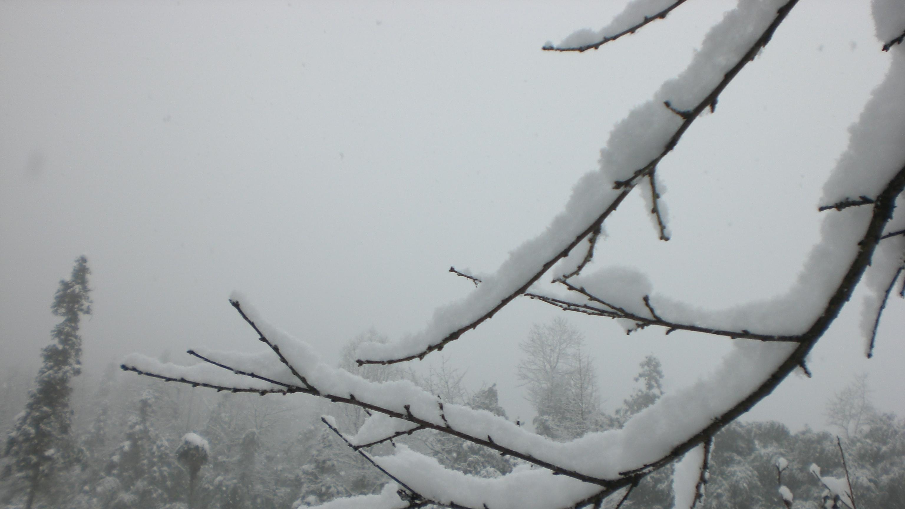 婆婆喜欢舔油瓶口，说是不要浪费了