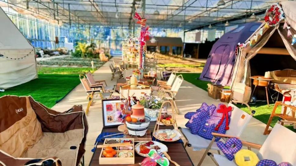 围炉煮茶正当时，来奉贤享冬日乐事