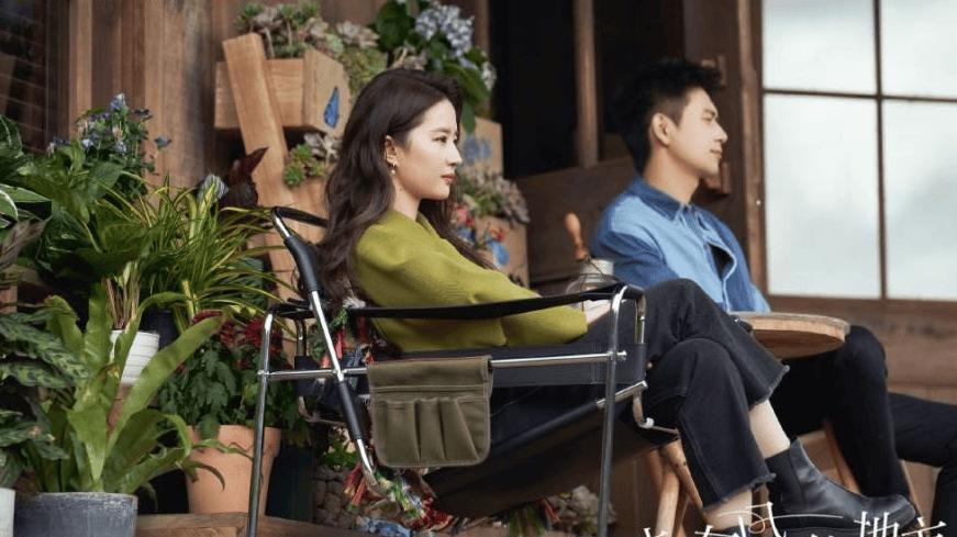 风过云苗，心归故里：《去有风的地方》，治愈当代人的精神乡愁