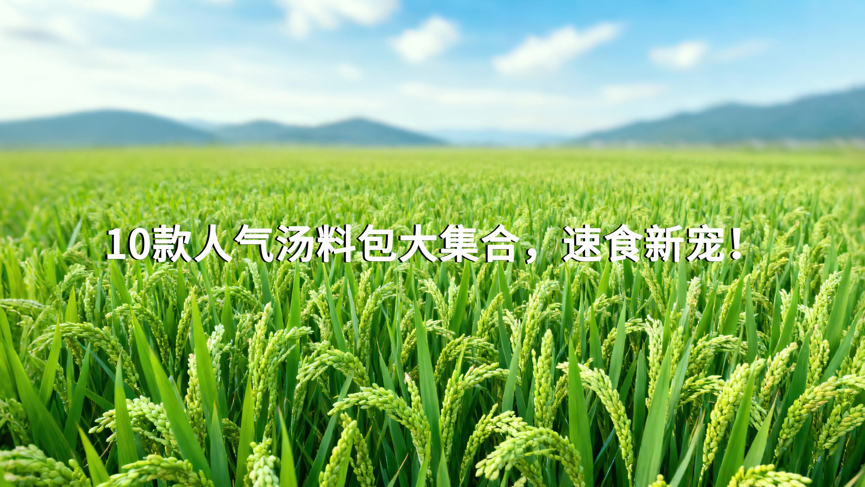 10款人气汤料包大集合，速食新宠！