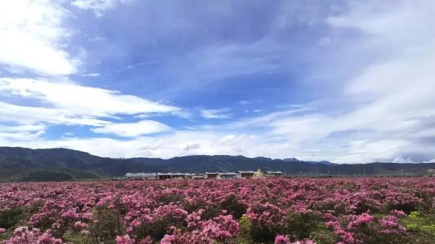 取名赢好礼！迪庆小中甸水库文旅IP名字，等你来定