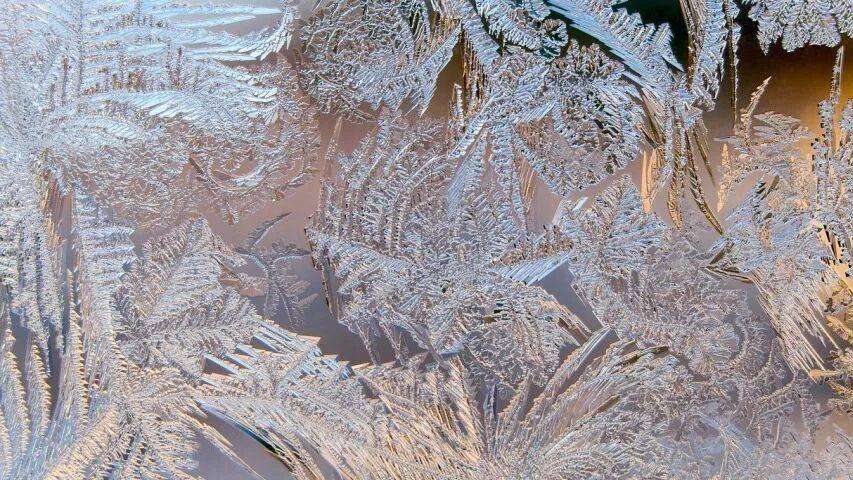 家电巨头都开始回归主业“挖矿”了