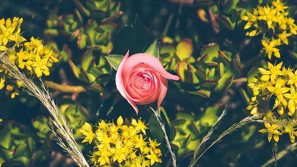 让男人离不开你，其实有比付出更聪明的方式