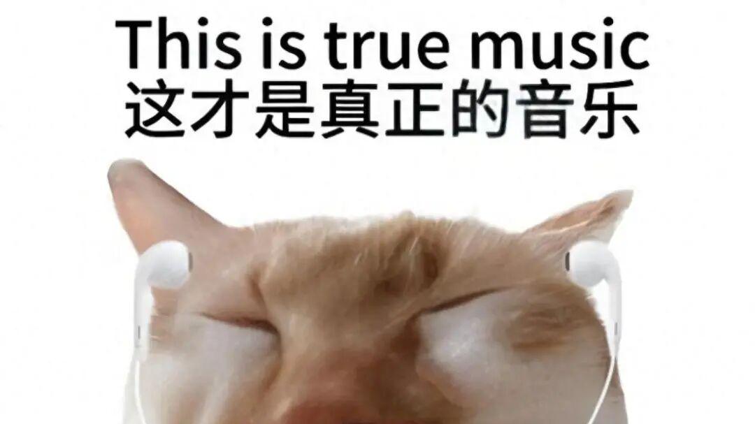 数播、流媒体解码器，音质提升记（二），HiFi交换机的深度探究