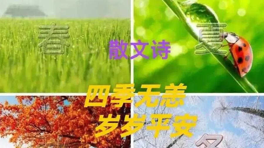 张开明散文诗｜ 四季无恙 岁岁平安