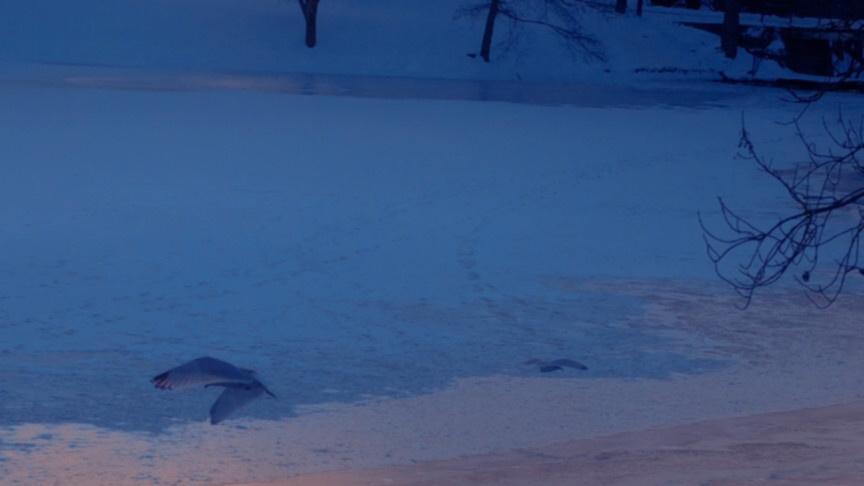 为什么梦里不能照镜子