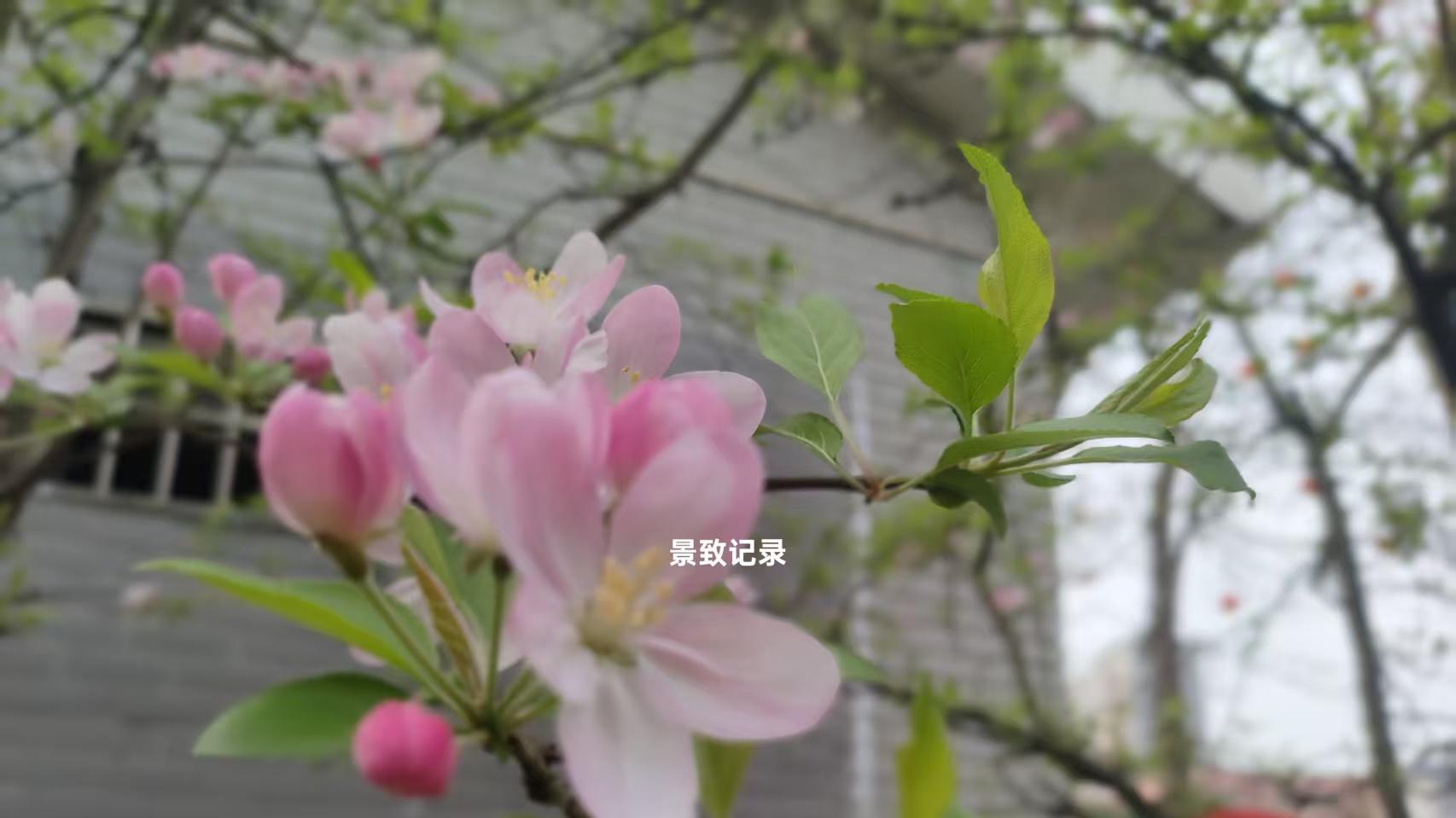 景致记录：美国黎巴嫩村旅店，清洁舒适，可跟英国同等村店相媲美