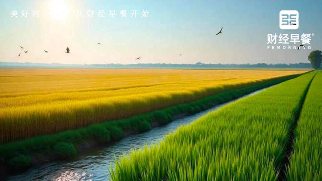 跌回两年前的，是1116只股票