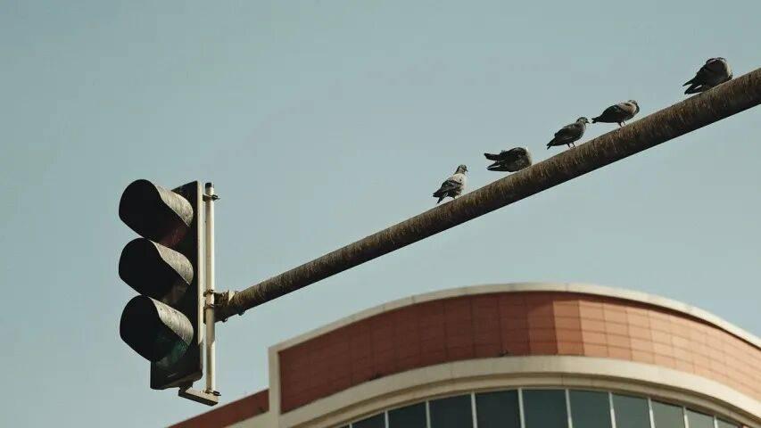 家电国补地方扩大品类，厂商直言“喜忧参半”