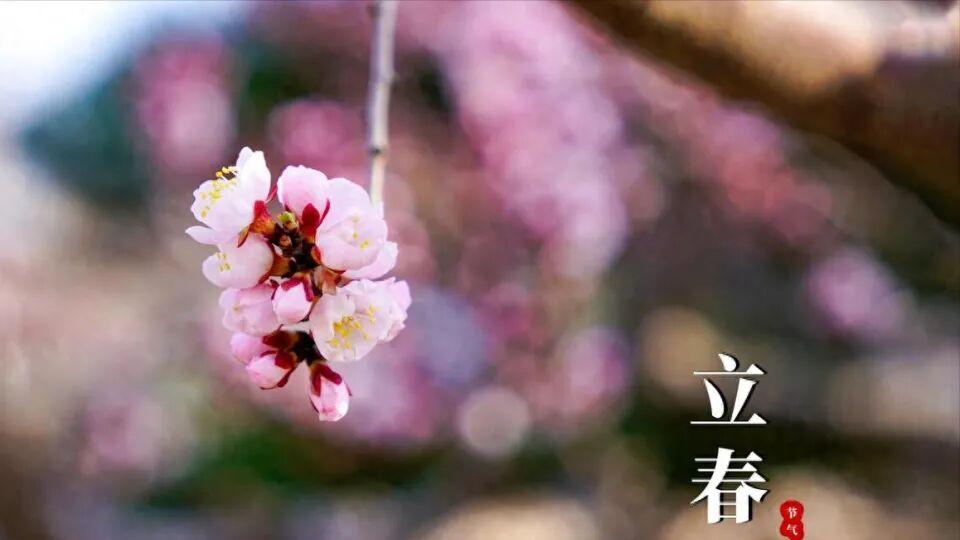 明日立春，老辈人说是“红腊春”，看看老话啥说头