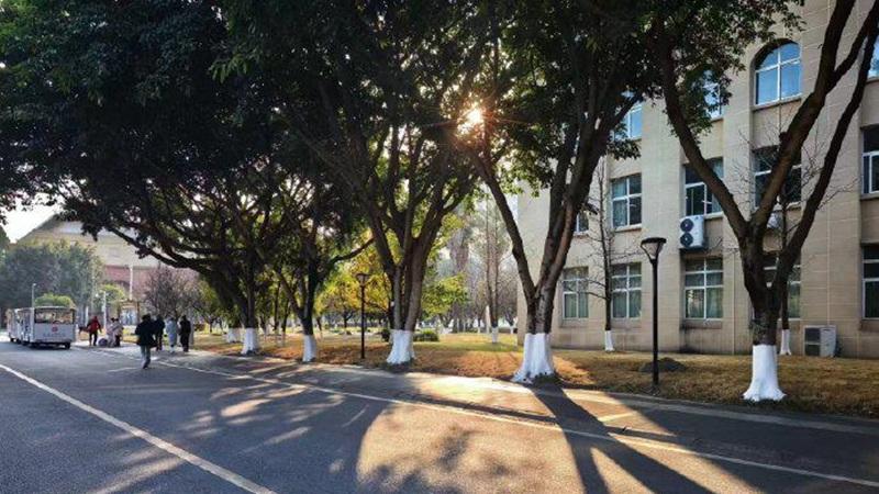 刘虎和巫英蛟被抓，希望他们一切安好