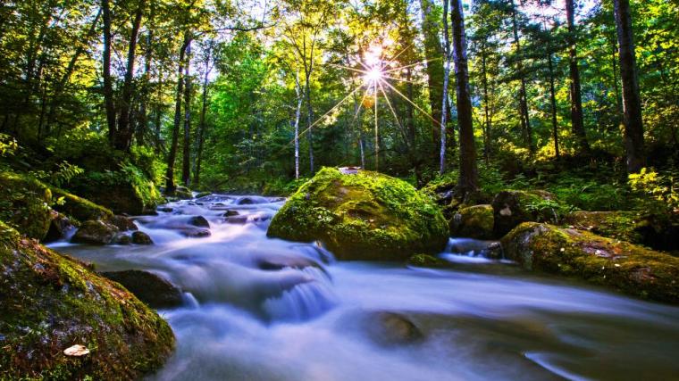 大箐山县斩获两项国家级文旅荣誉 生态康养旅游品牌再添新名片