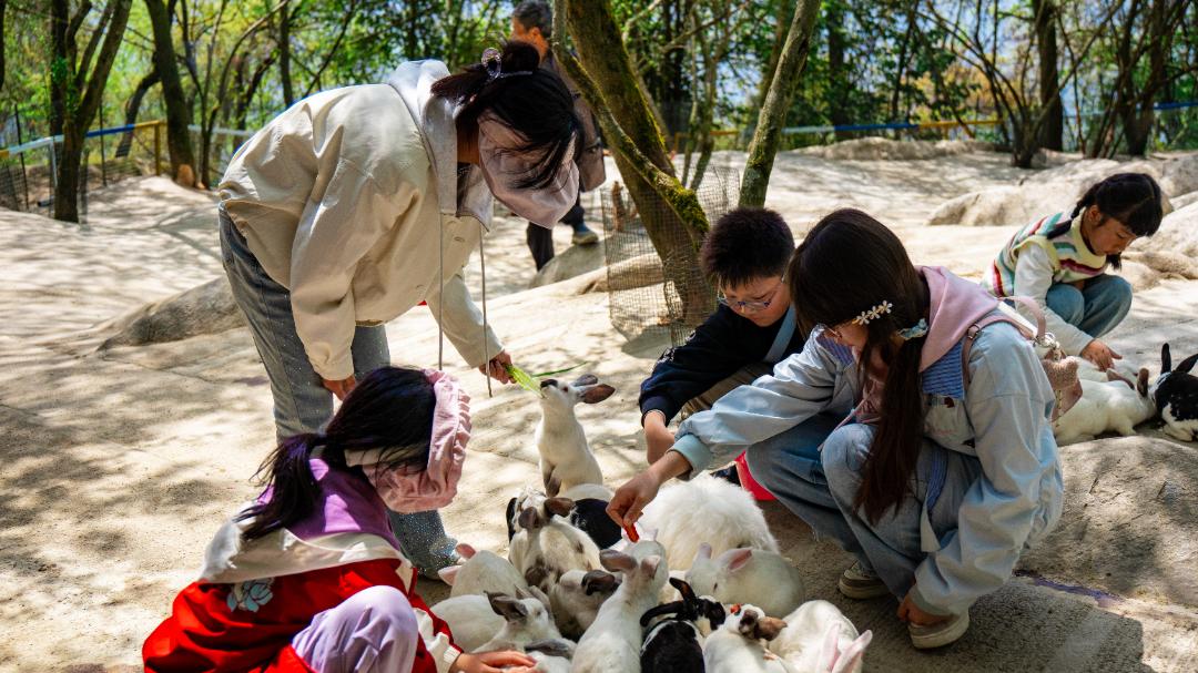坐索道也能领奖牌｜九皇山春日文旅活动启幕 农场野趣迎客来