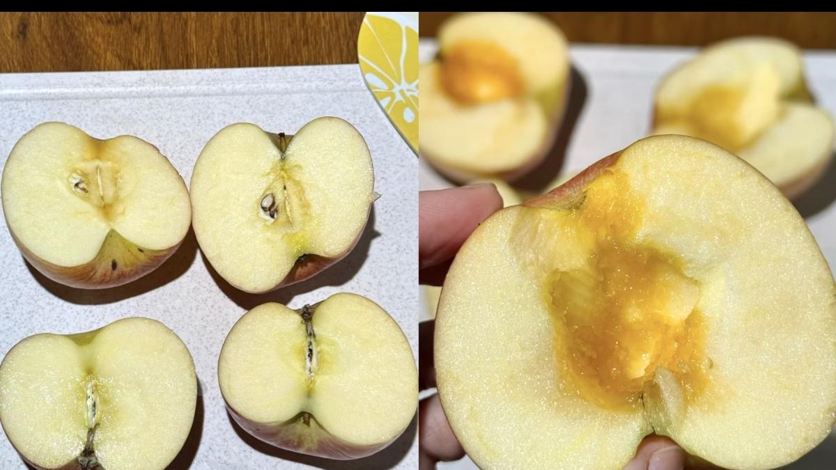 烤箱里的甜蜜魔法，家常烤苹果