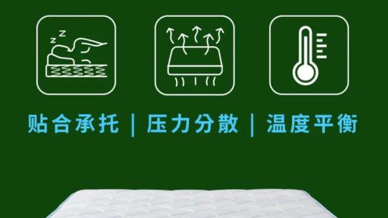 2026年十大记忆棉床垫品牌大全！