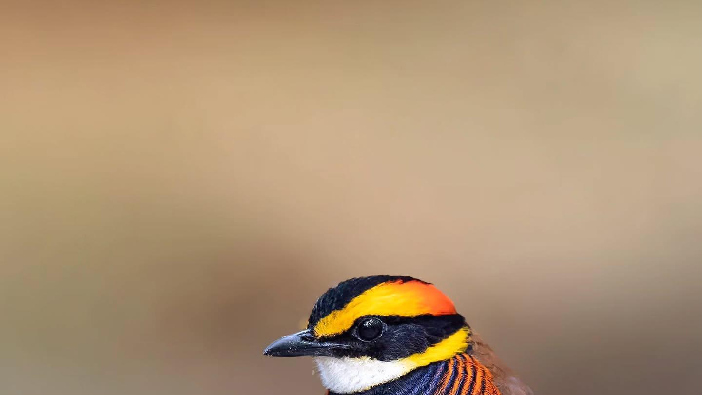 富人的思维方式，和你不一样