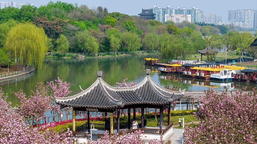 蝴蝶大乐透26038期分析，本期的重点非常突出，大家发现了吗？