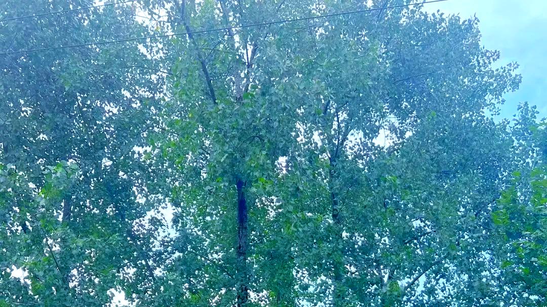 国内高校分享第70期：对外经济贸易大学-没靠清北光环，贸大学生凭什么拿下布斯MBA？