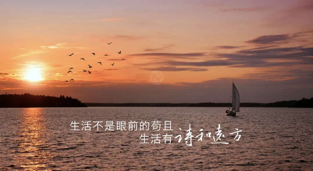 太重感情的人，最后都输得很惨