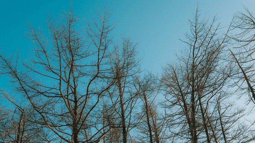 大学里最容易丢失的，不是梦想，也不是奋斗，而是自学能力。