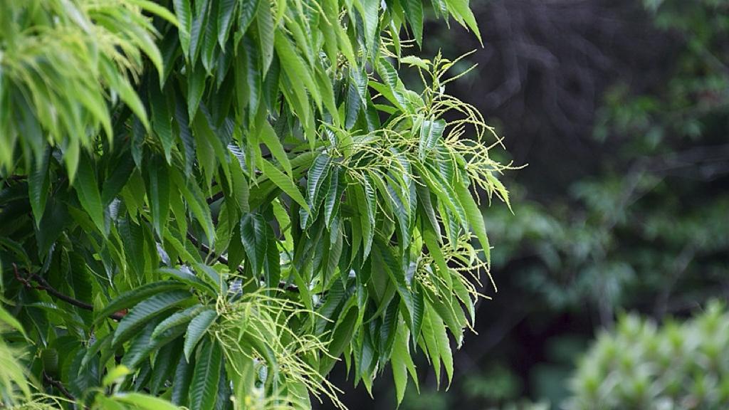 中美博弈的最优解，竟是“互相害怕”？