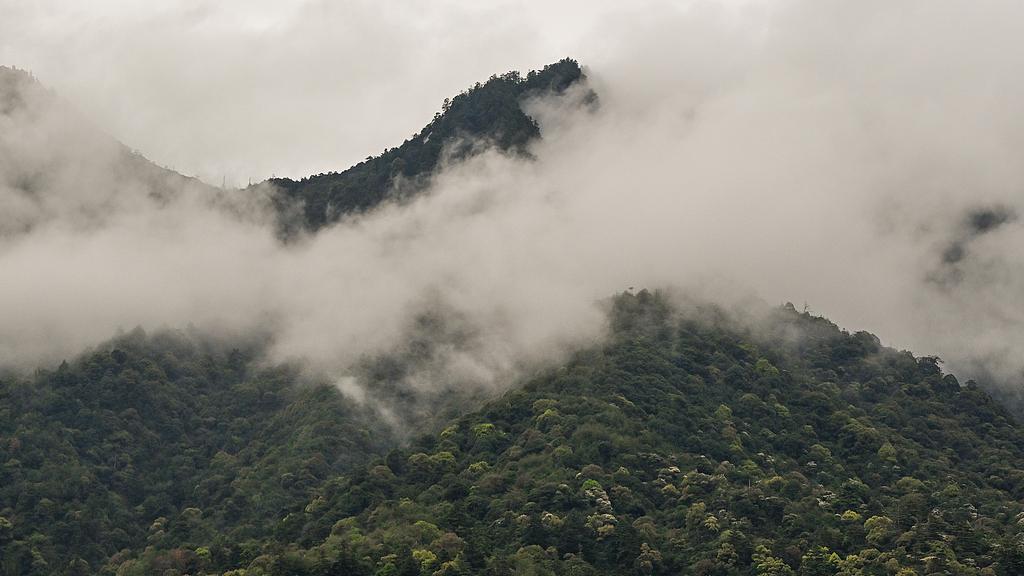 蝴蝶大乐透26041期分析，本期出现一个不错的规律，有较大机会开出1个号码