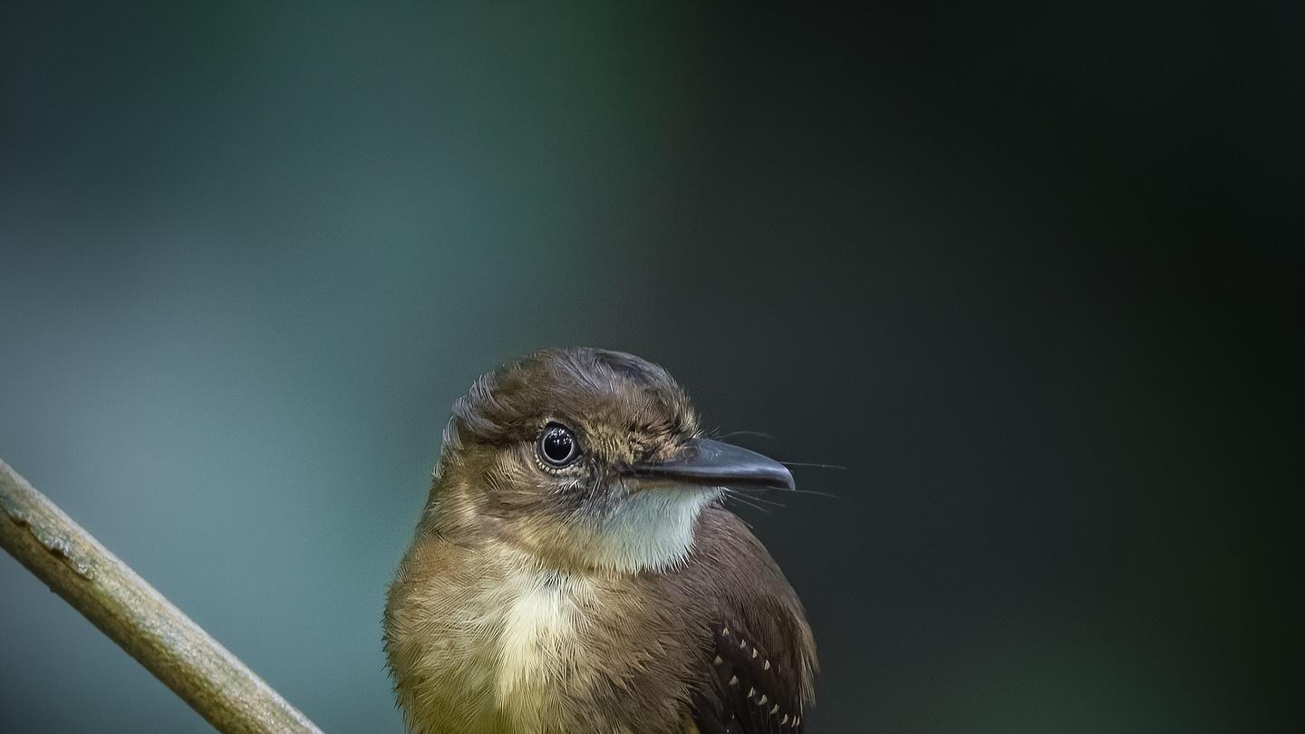 幽默感的刻意练习指南