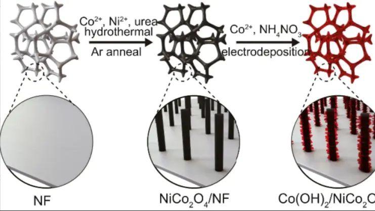 如何表征掺杂？多尺度表征技术（XPS/DFT/XAFS/TEM等）与电催化剂性能调控原则