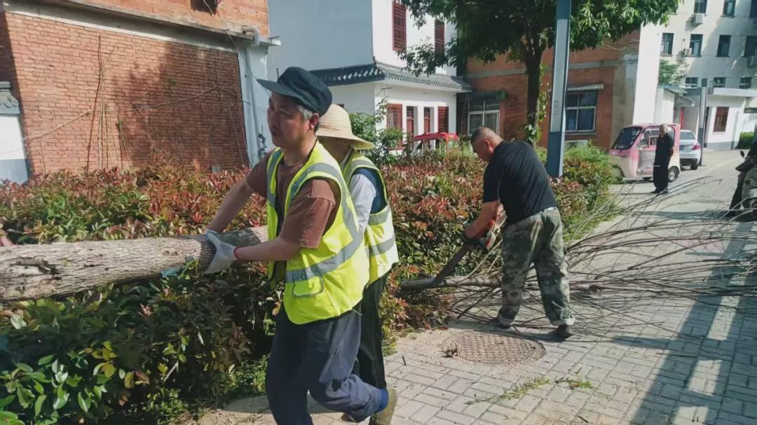 信阳园林：对接民生补植增绿 提升社区环境品质