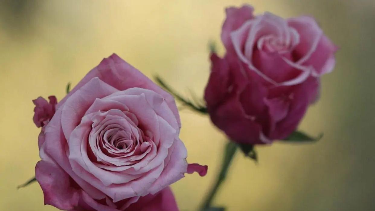 如果有一天，男人开始嫌弃你了，聪明的女人会先做好这4件事