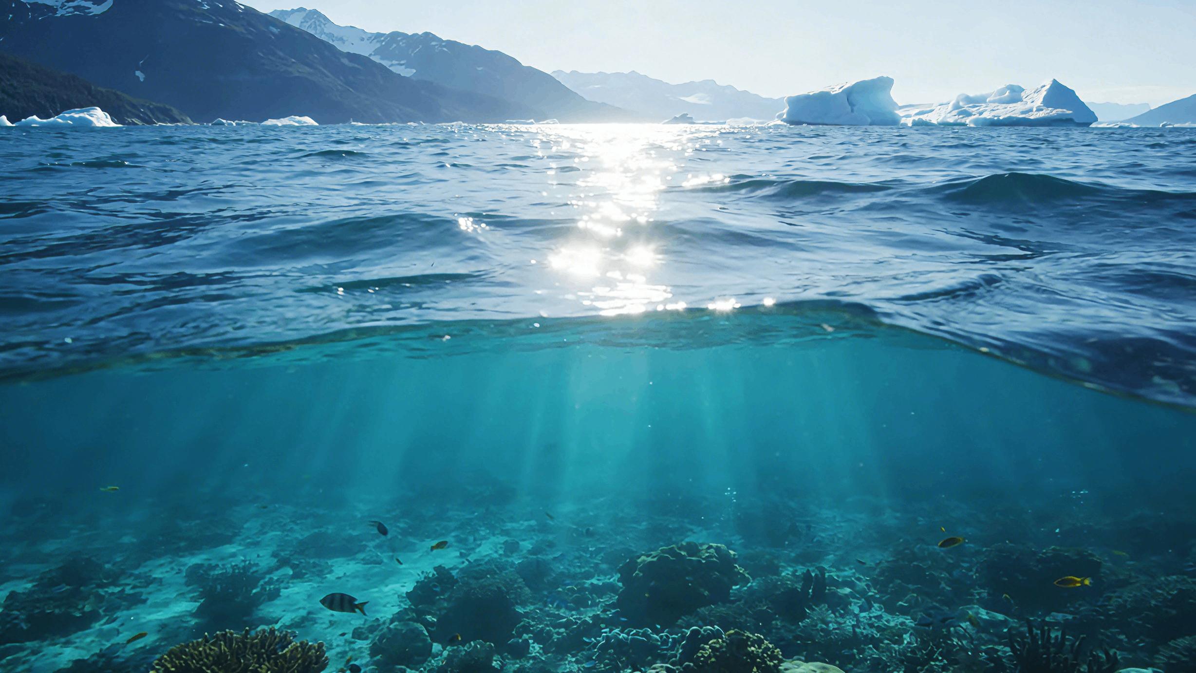 新手爸妈必看！申和食品阿拉斯加真鳕，宝宝辅食闭眼冲不踩雷