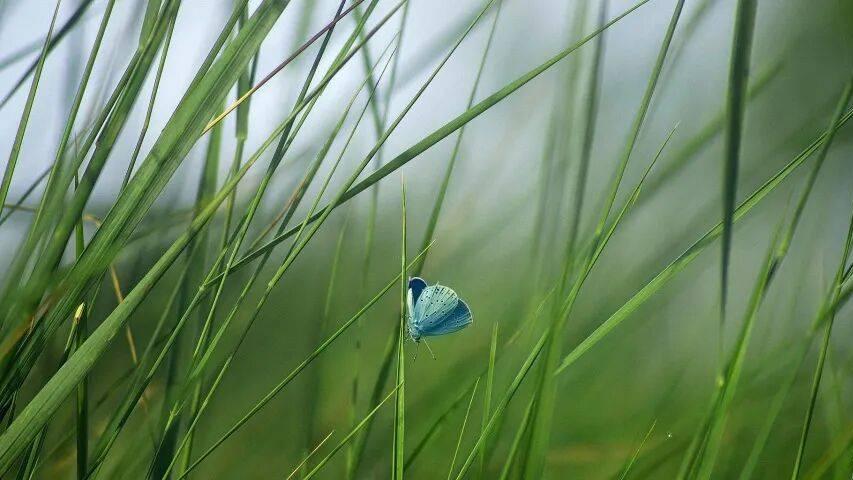 别再开盘了！家电厂商请直接面向用户开火抢单