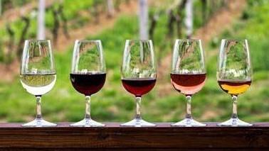 葡萄酒的颜色测量：从原理、方法到常见问题全解析