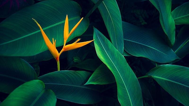 8天11项议程：减脂增肌的效率治理成定局