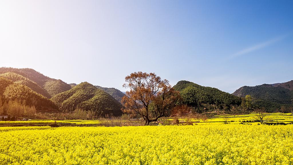 “小帕”被封禁背后：女性真的需要被“制造”焦虑吗？